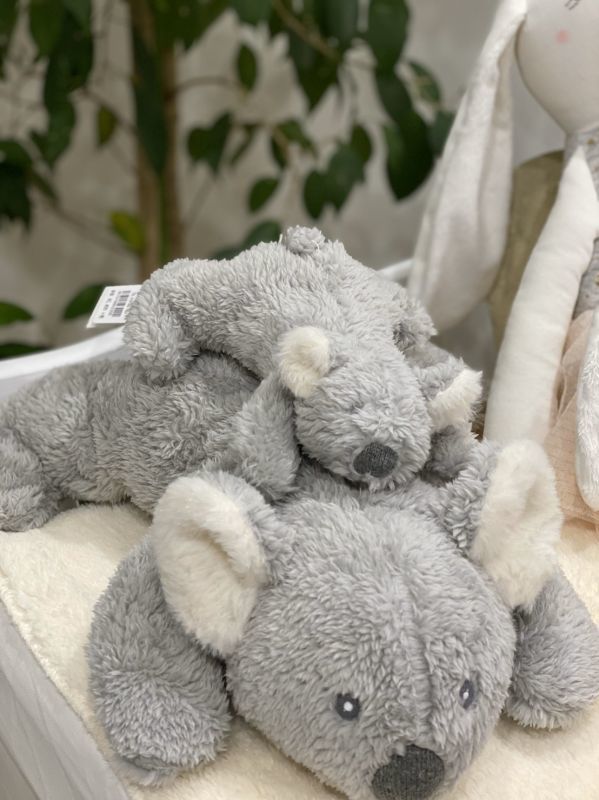 もふもふベビーコアラ