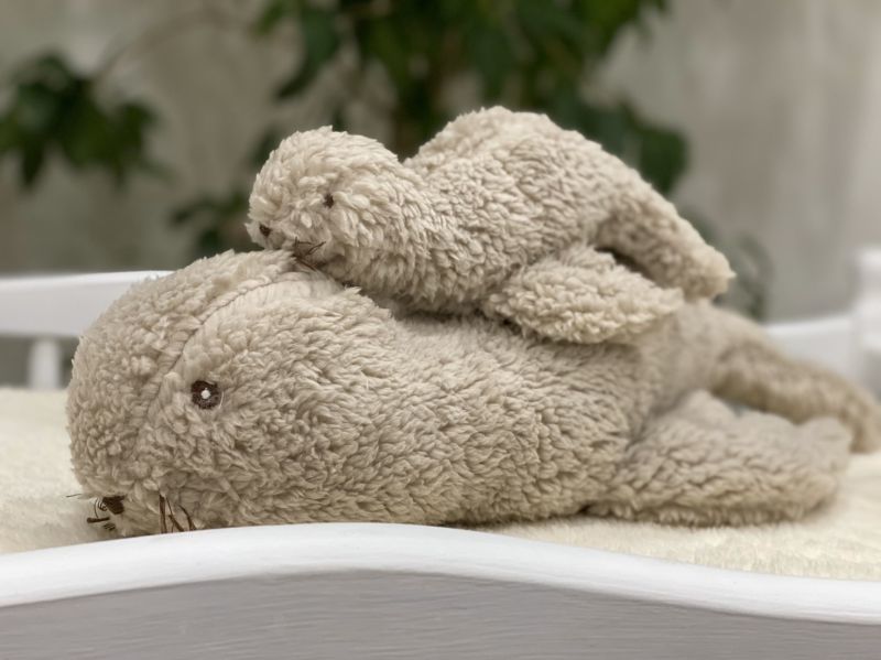 もふもふママアザラシ